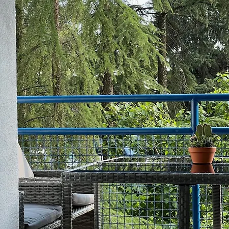 Matej * Ριέκα